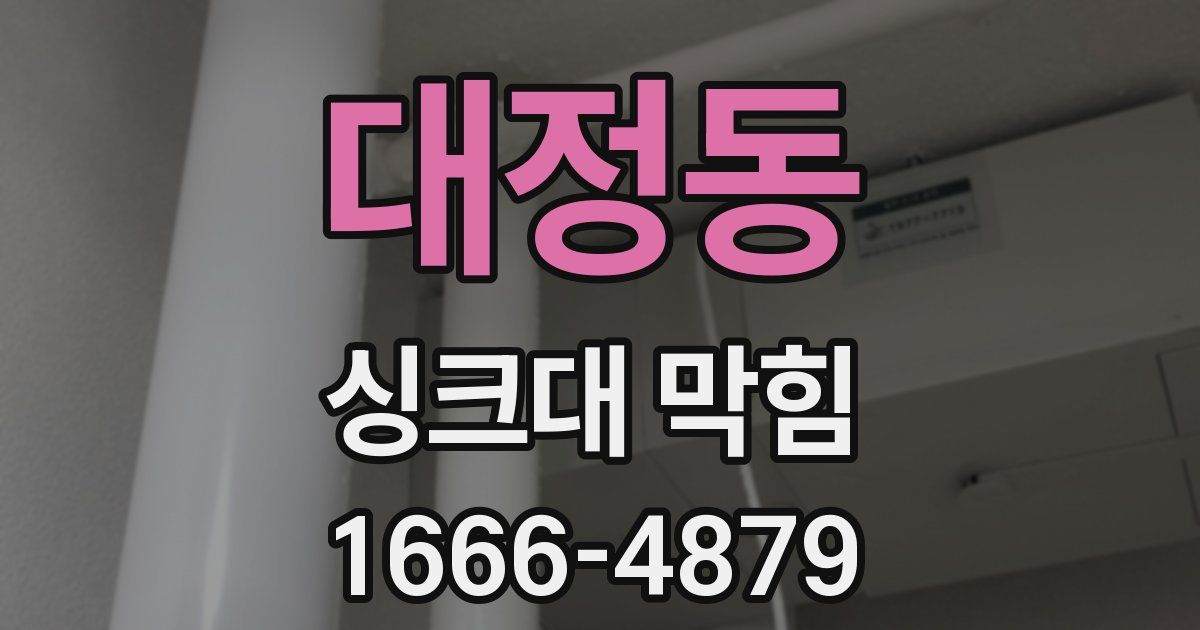 대정동 싱크대 막힘