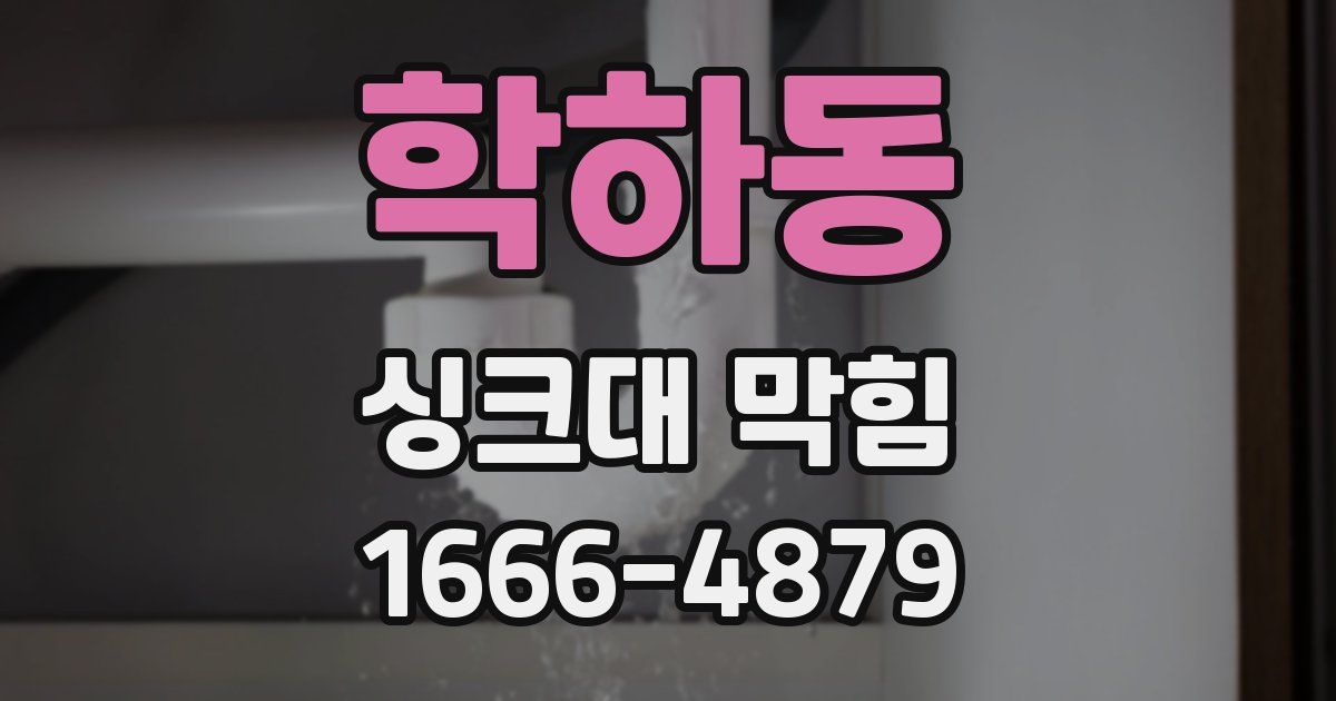 학하동 싱크대 막힘