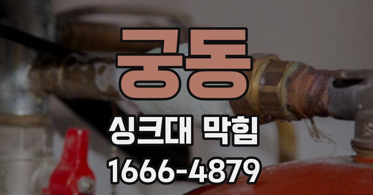 궁동 싱크대 막힘