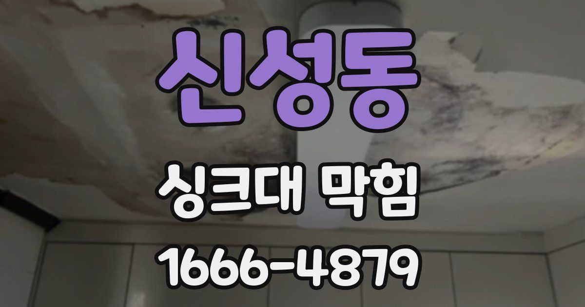 신성동 싱크대 막힘