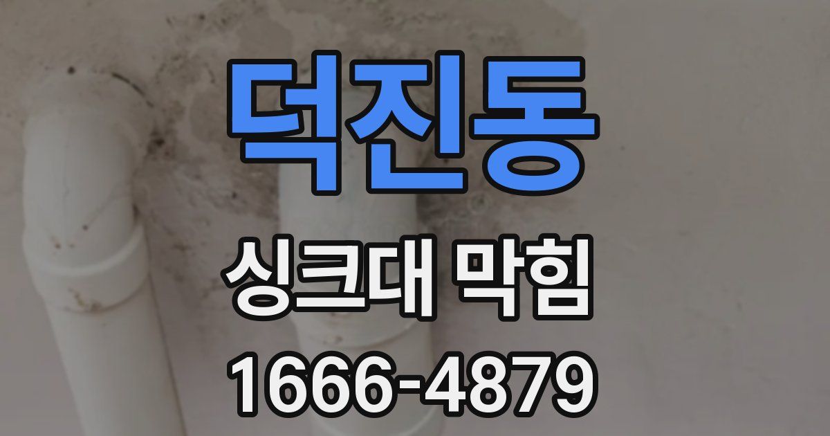 덕진동 싱크대 막힘