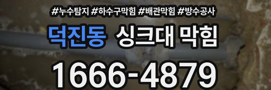 덕진동 싱크대 막힘