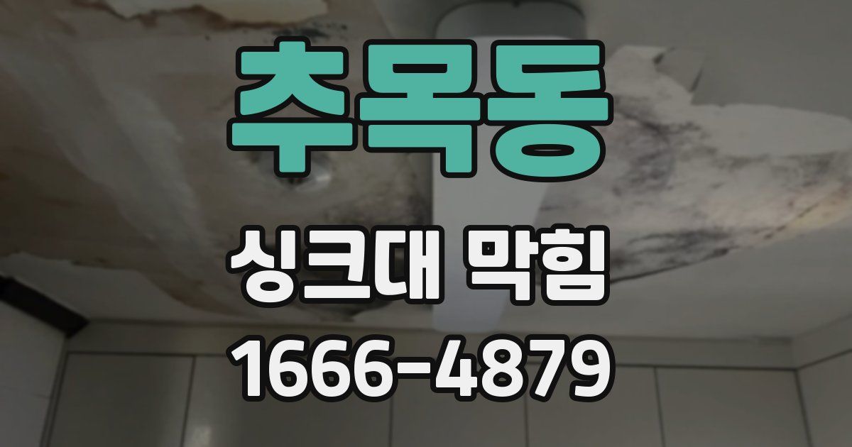 추목동 싱크대 막힘