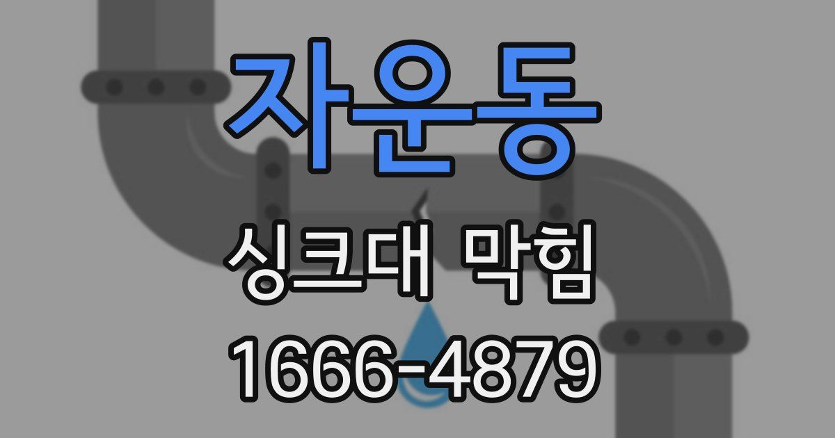 자운동 싱크대 막힘