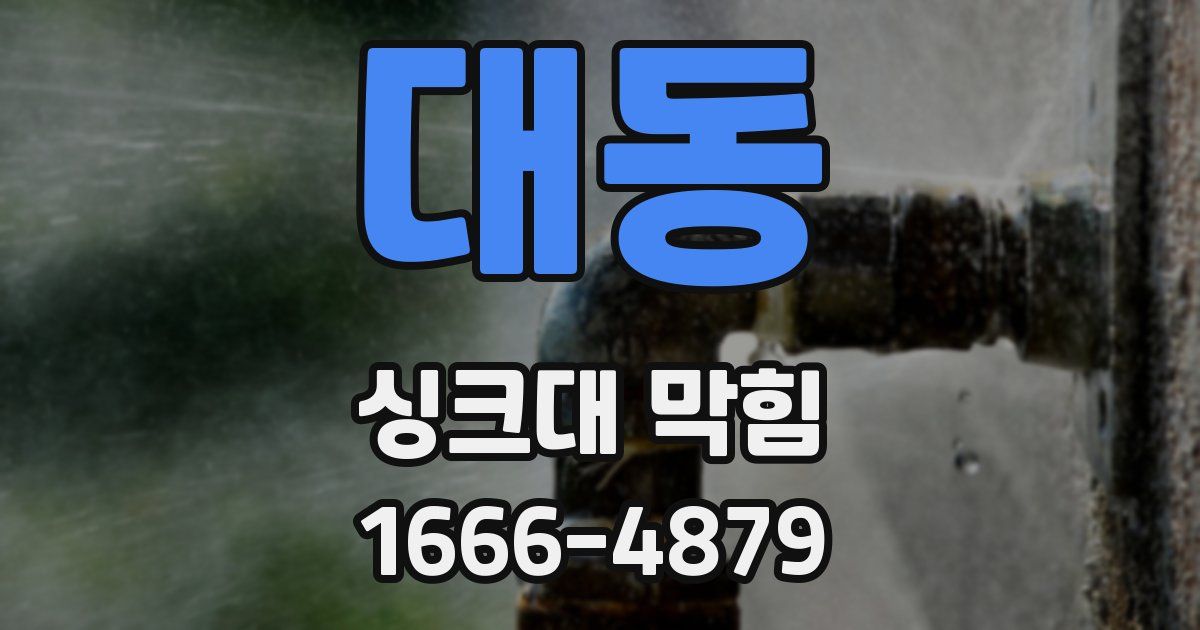 대동 싱크대 막힘