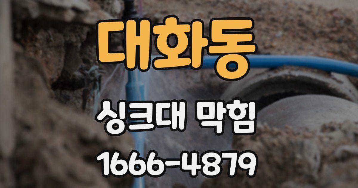 대화동 싱크대 막힘