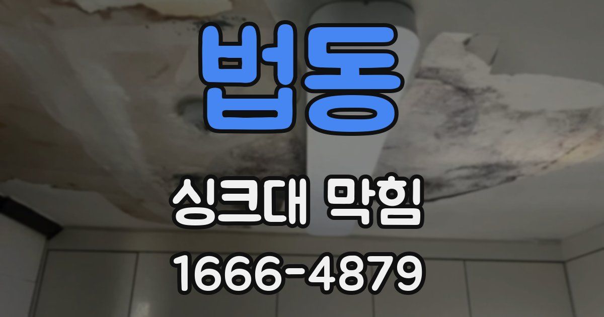 법동 싱크대 막힘