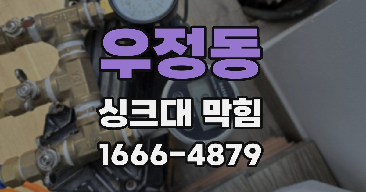 우정동 싱크대 막힘