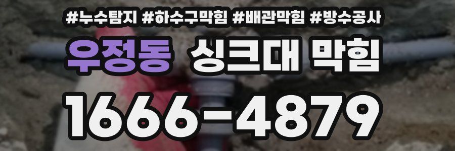 우정동 싱크대 막힘