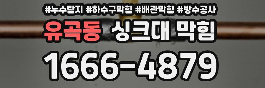 유곡동 싱크대 막힘