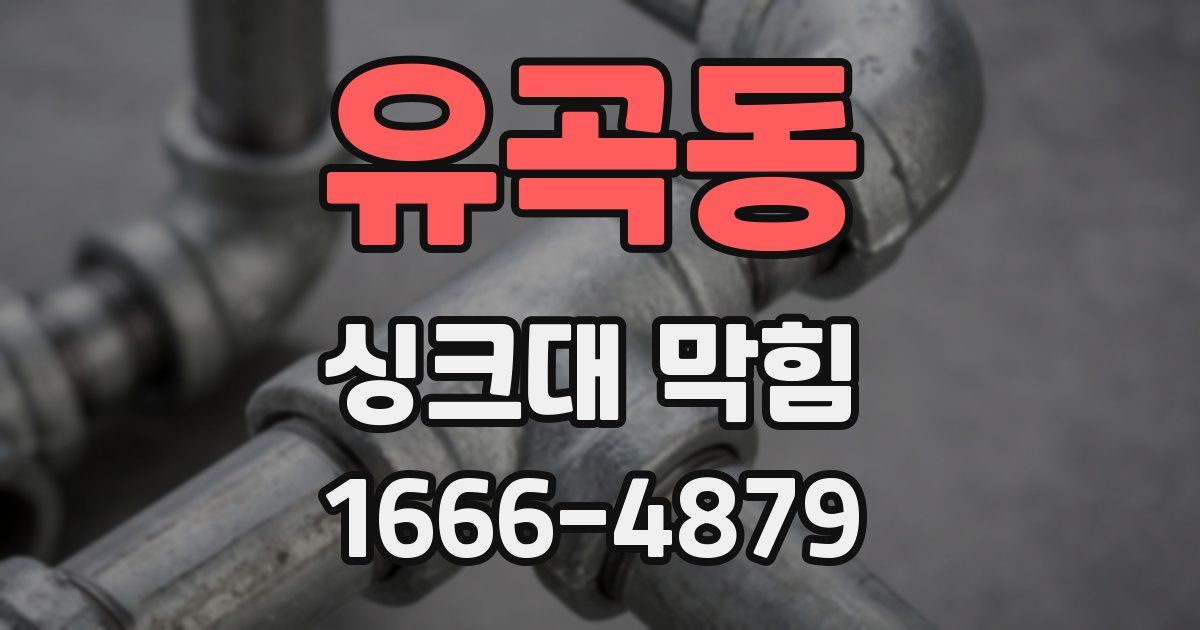 유곡동 싱크대 막힘