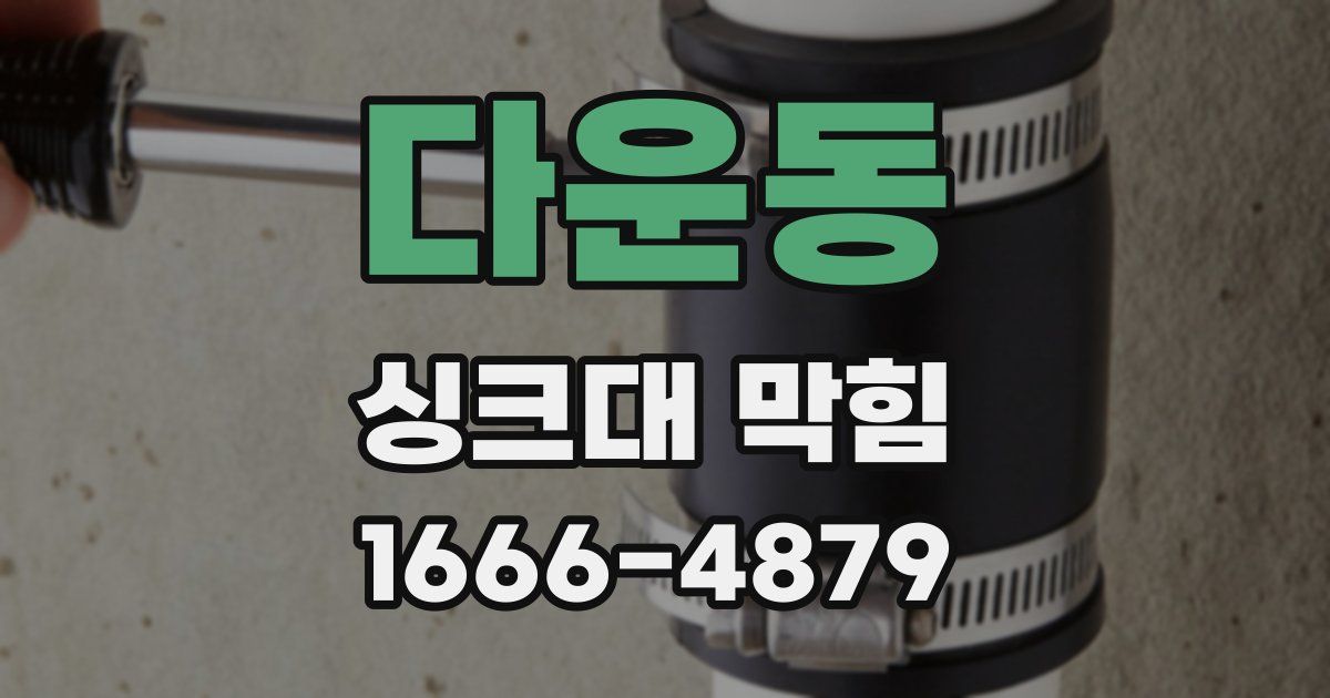 다운동 싱크대 막힘