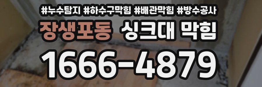 장생포동 싱크대 막힘