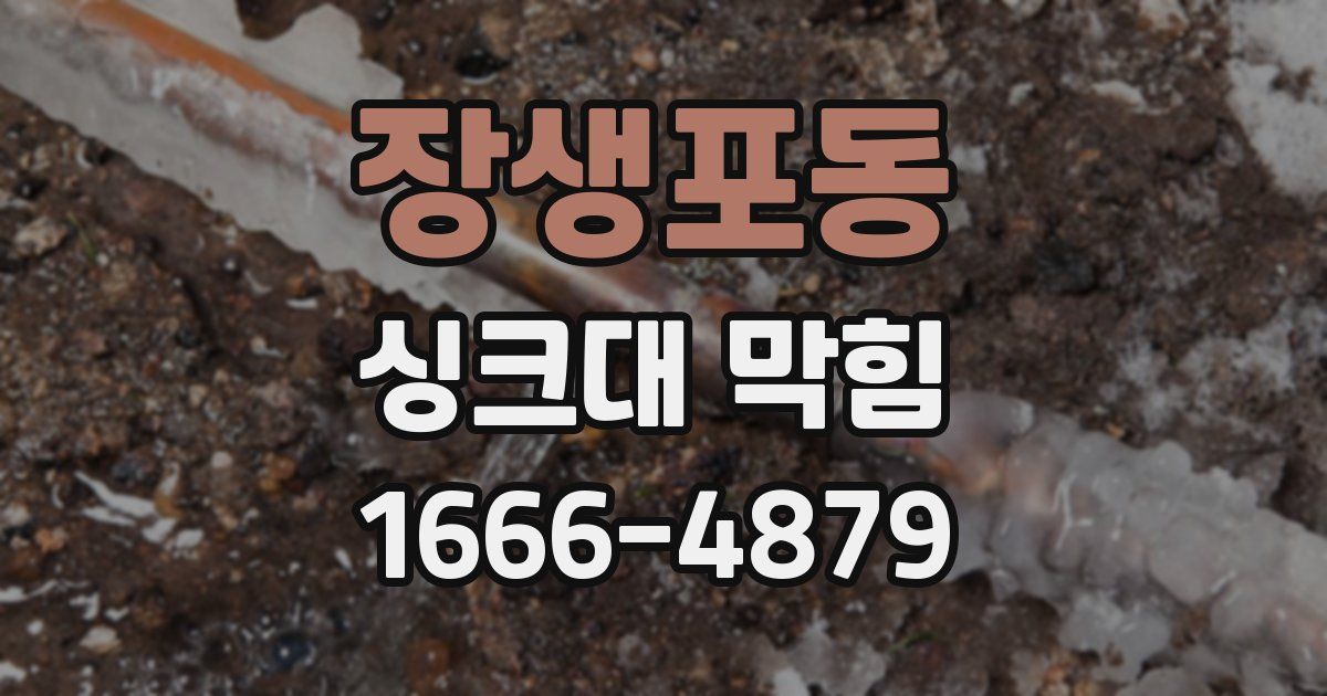 장생포동 싱크대 막힘