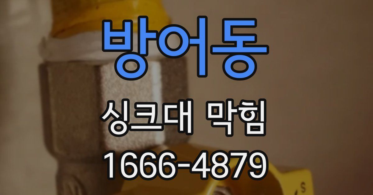 방어동 싱크대 막힘