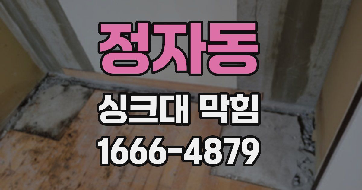 정자동 싱크대 막힘