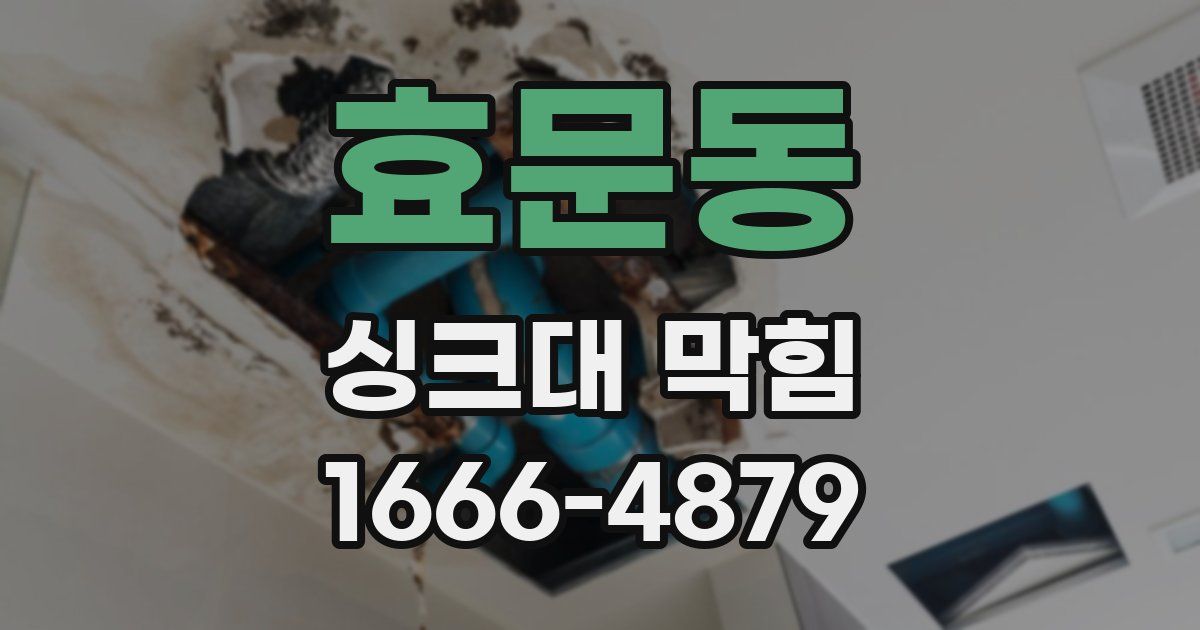 효문동 싱크대 막힘
