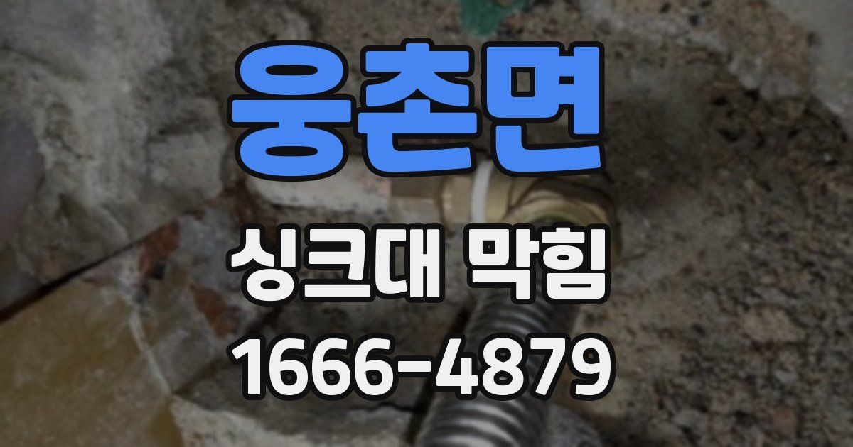 웅촌면 싱크대 막힘