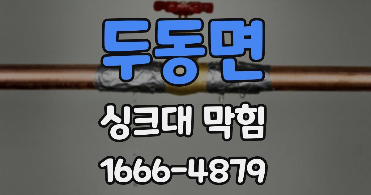 두동면 싱크대 막힘