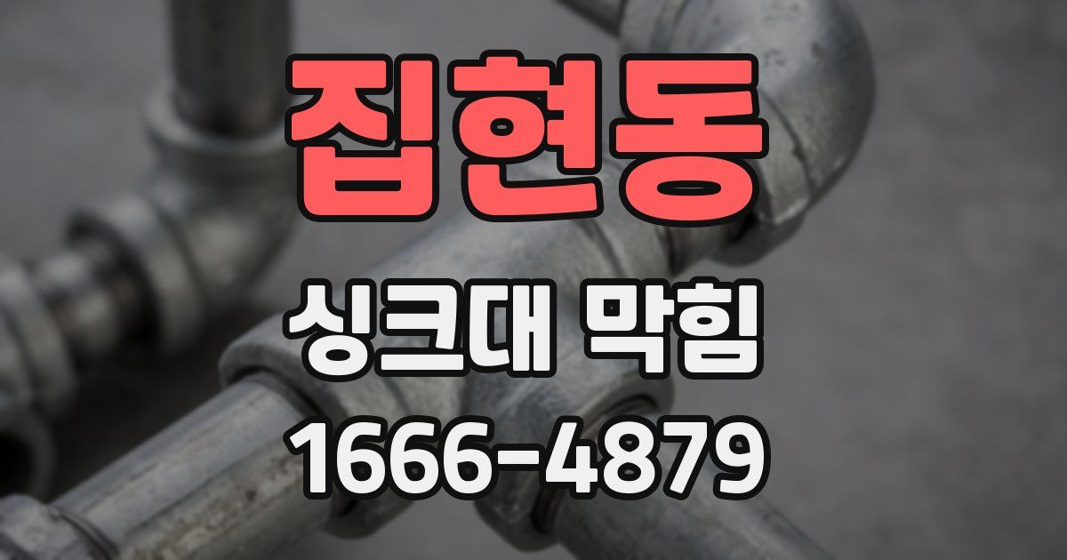 집현동 싱크대 막힘
