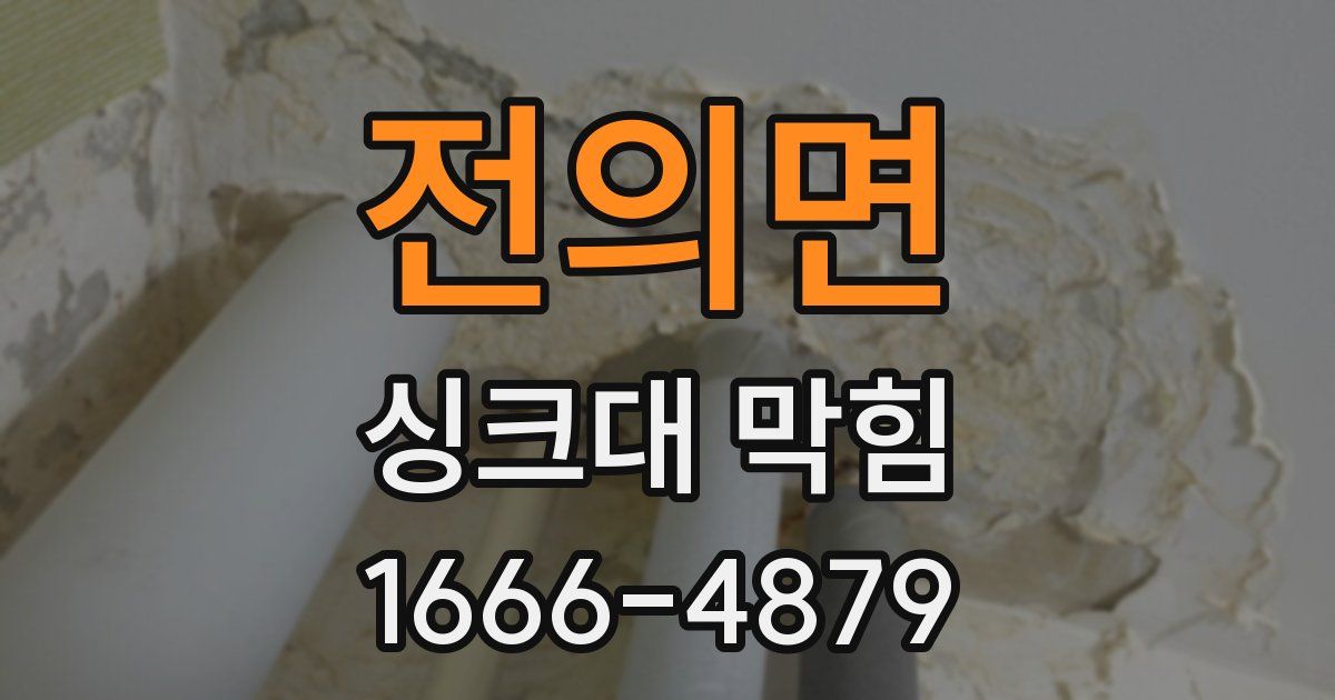 전의면 싱크대 막힘