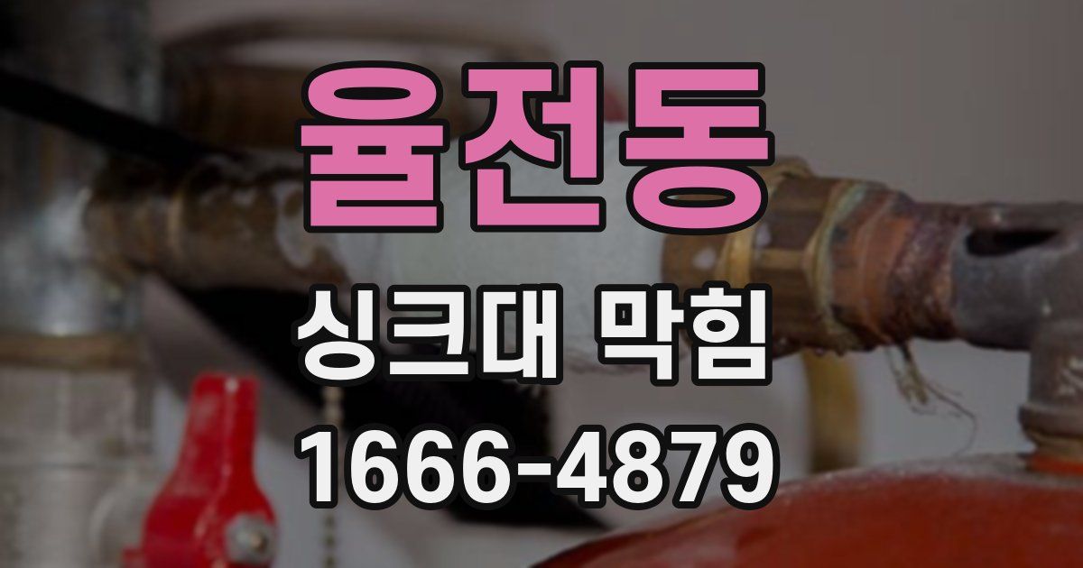 율전동 싱크대 막힘