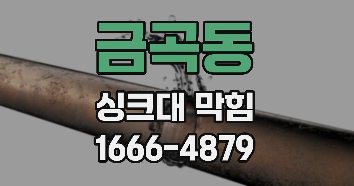 금곡동 싱크대 막힘