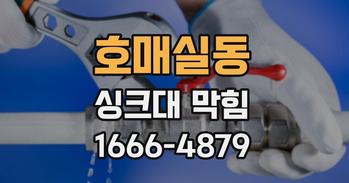 호매실동 싱크대 막힘