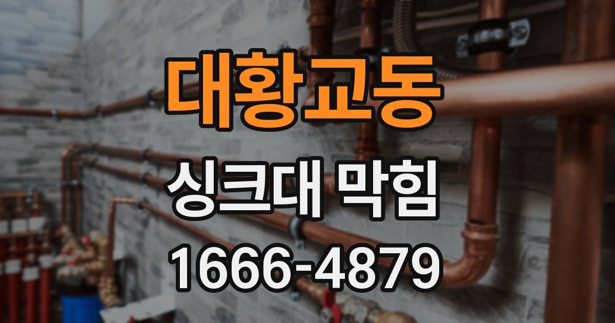 대황교동 싱크대 막힘