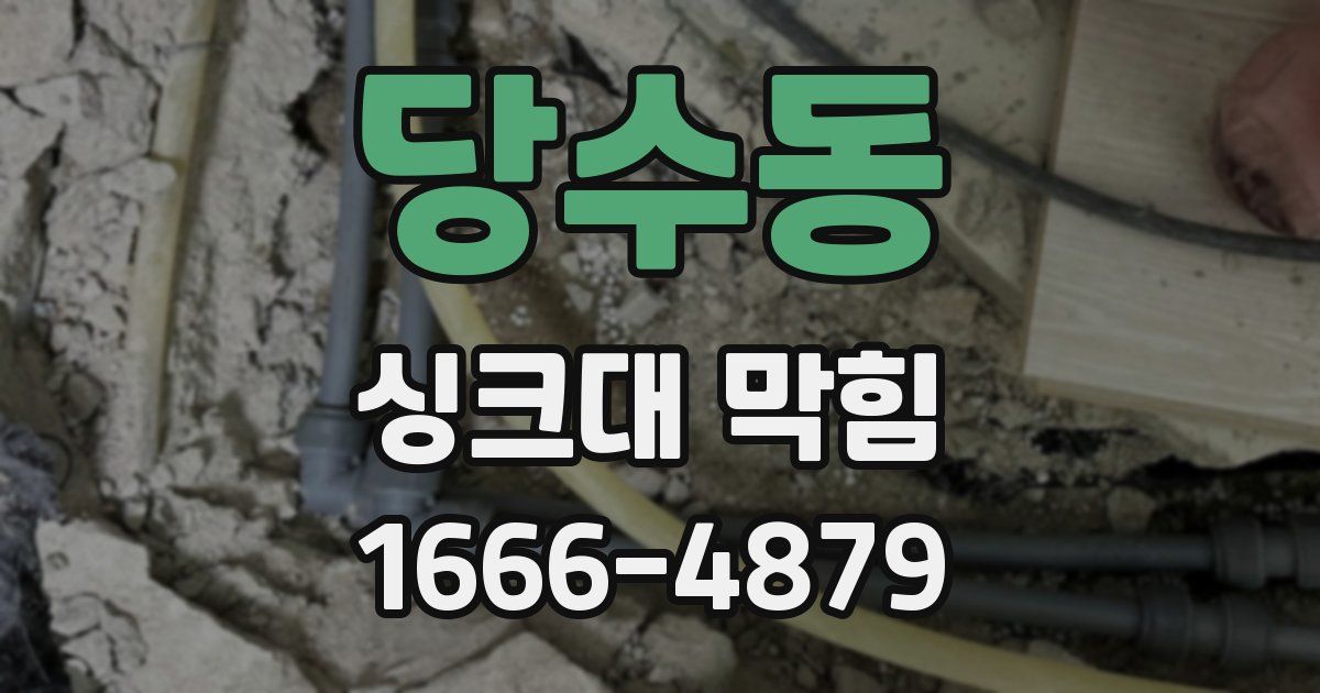 당수동 싱크대 막힘
