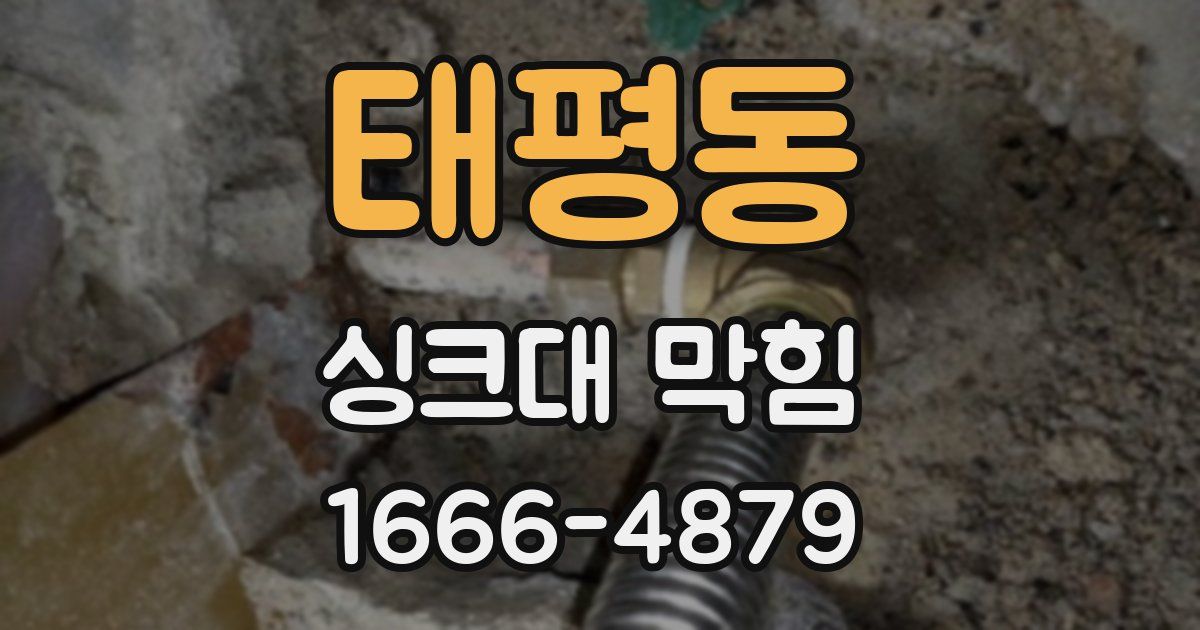 태평동 싱크대 막힘