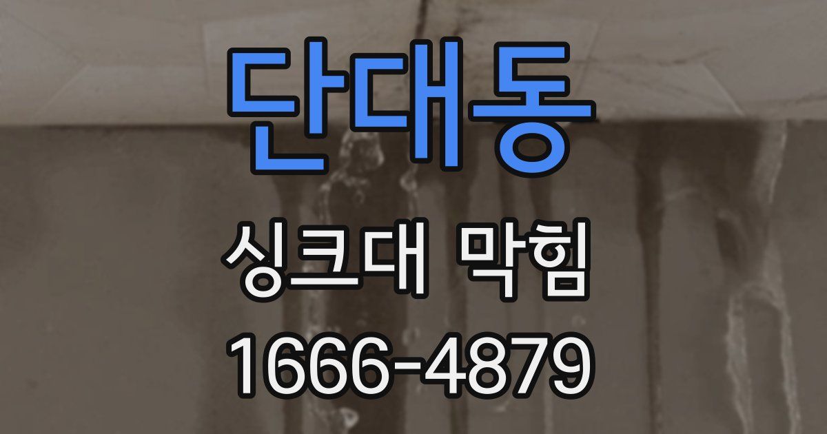 단대동 싱크대 막힘
