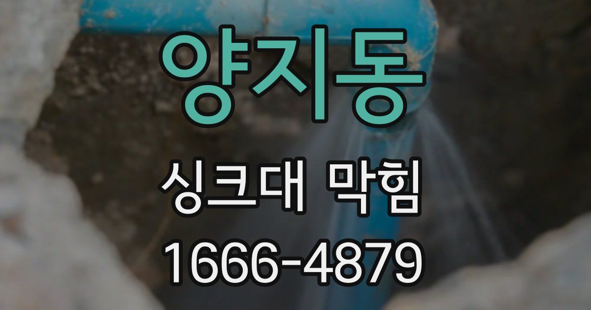 양지동 싱크대 막힘