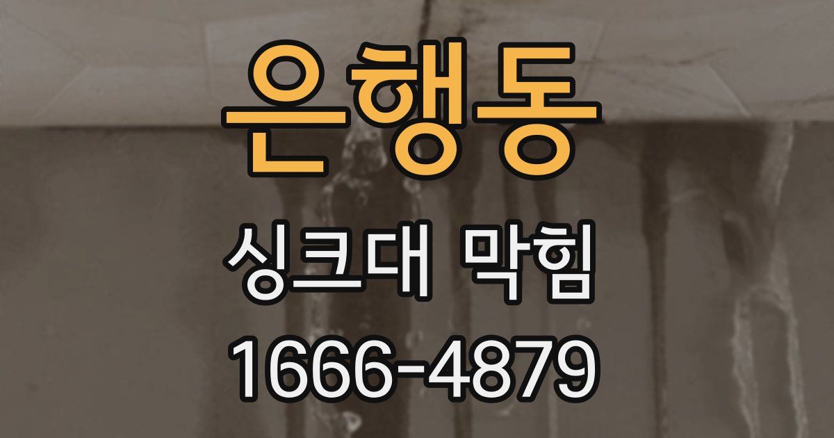 은행동 싱크대 막힘