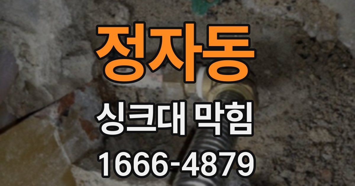 정자동 싱크대 막힘