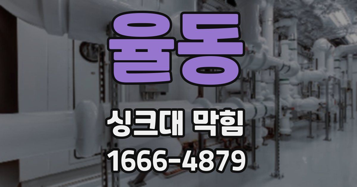 율동 싱크대 막힘