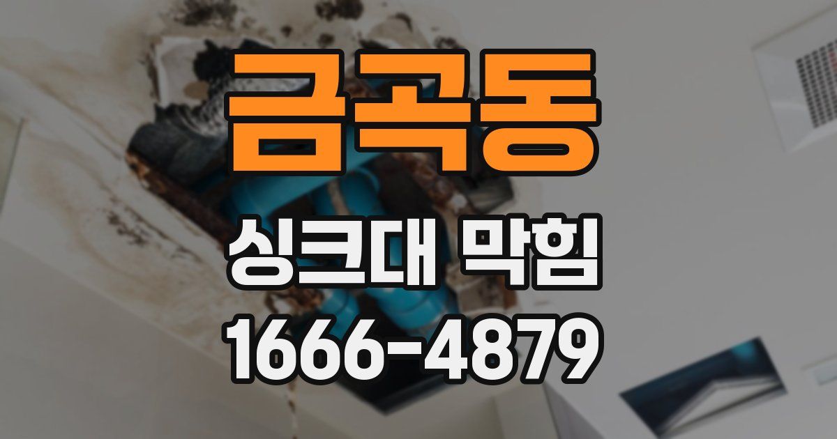 금곡동 싱크대 막힘