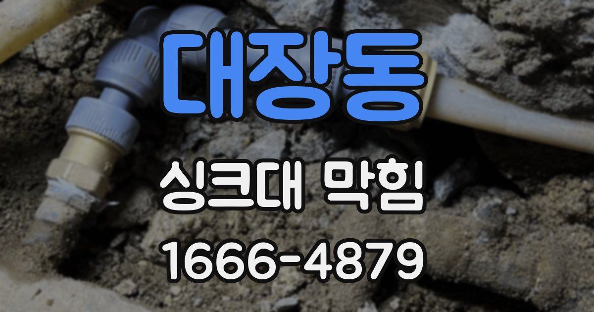 대장동 싱크대 막힘