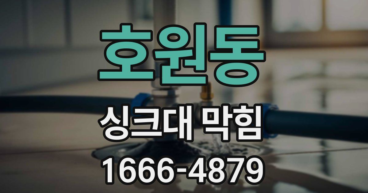 호원동 싱크대 막힘