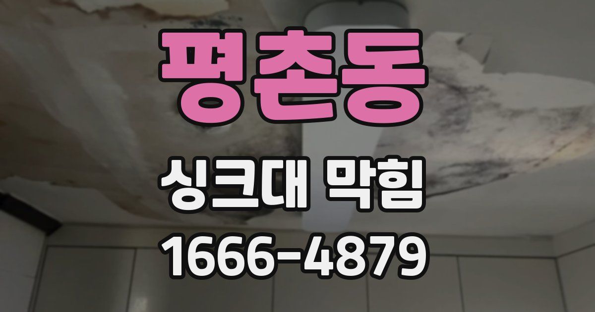 평촌동 싱크대 막힘