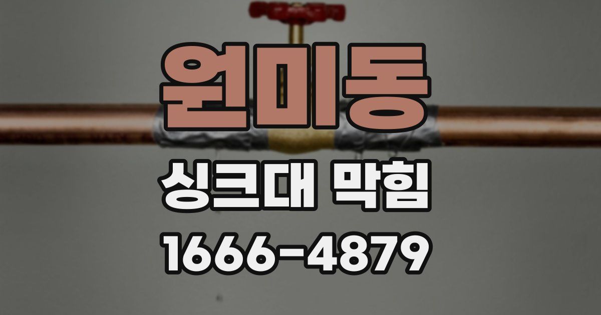 원미동 싱크대 막힘