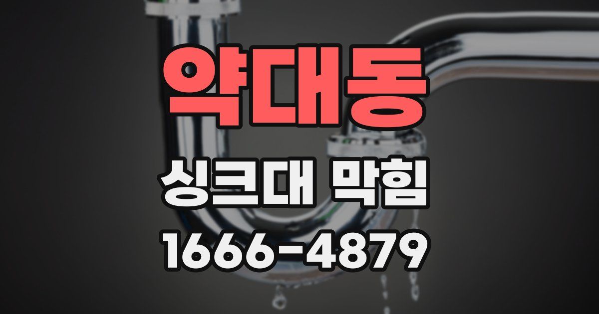 약대동 싱크대 막힘