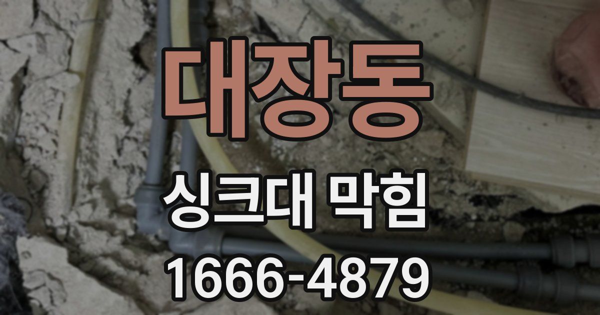 대장동 싱크대 막힘