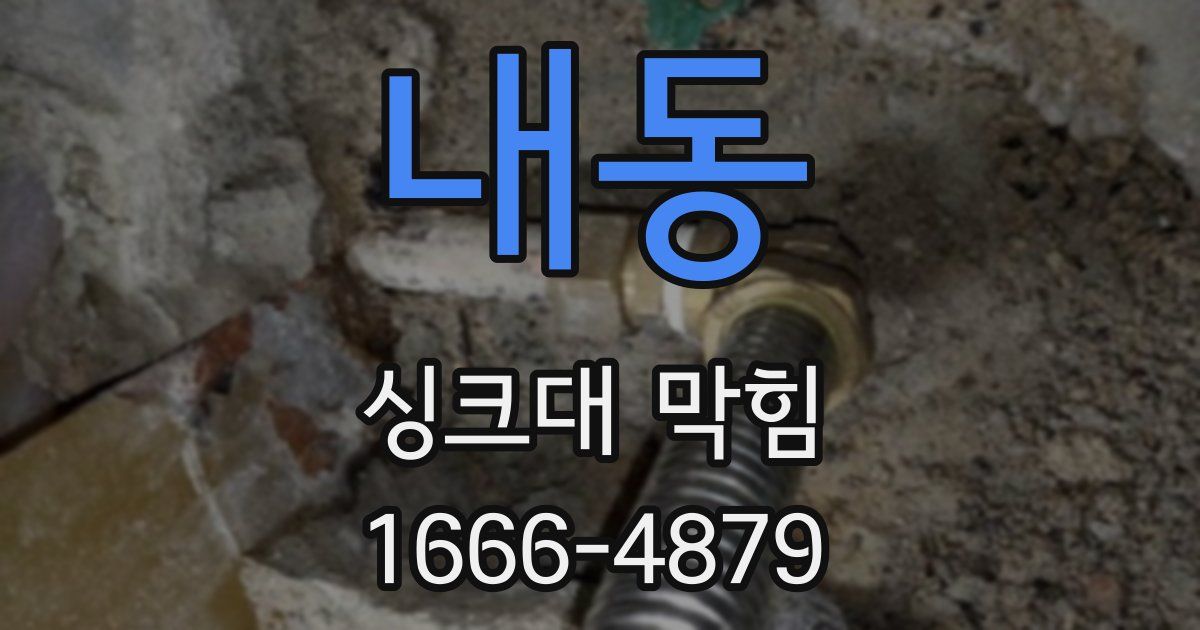 내동 싱크대 막힘