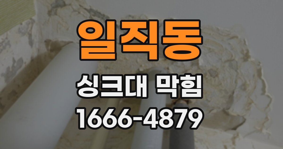 일직동 싱크대 막힘