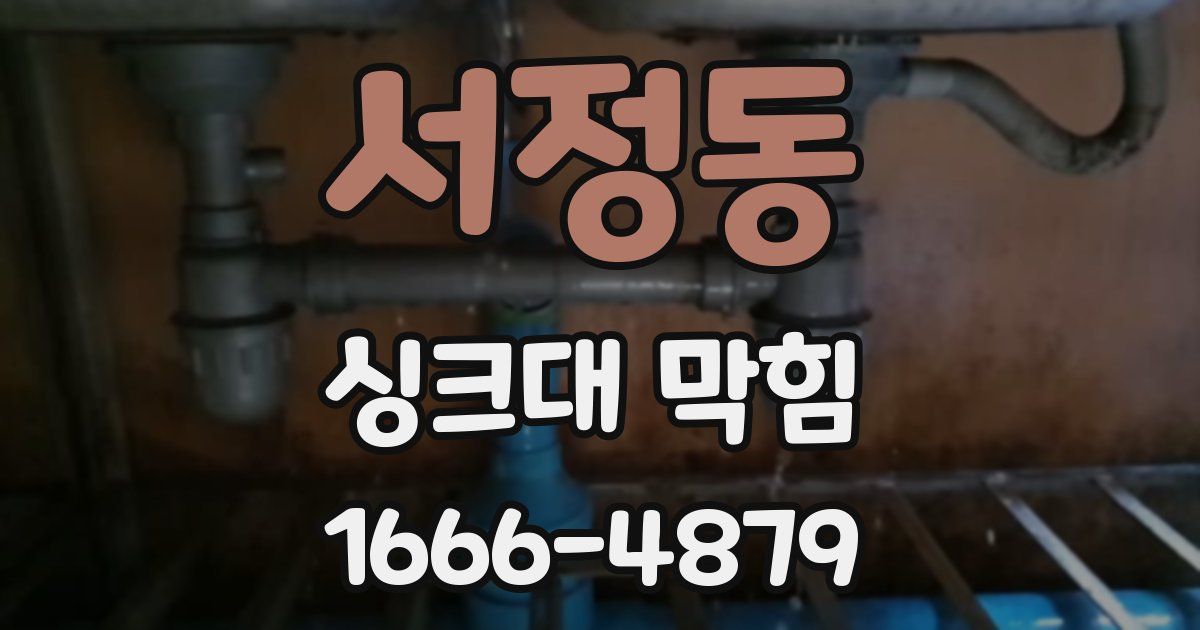 서정동 싱크대 막힘