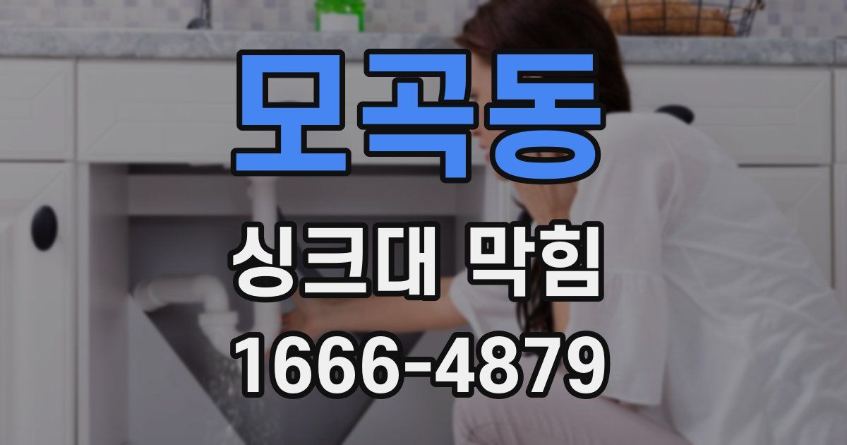 모곡동 싱크대 막힘
