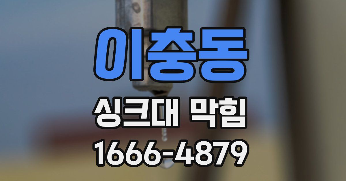 이충동 싱크대 막힘