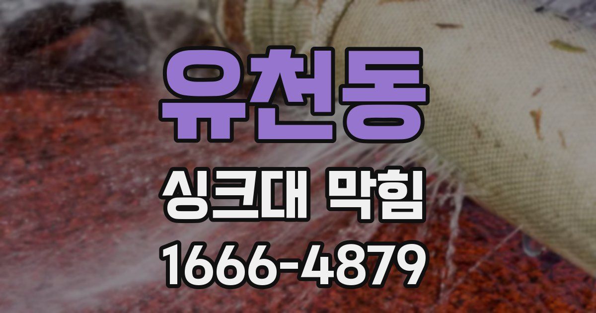 유천동 싱크대 막힘