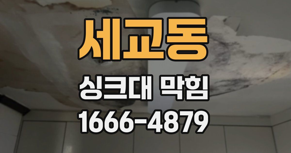 세교동 싱크대 막힘